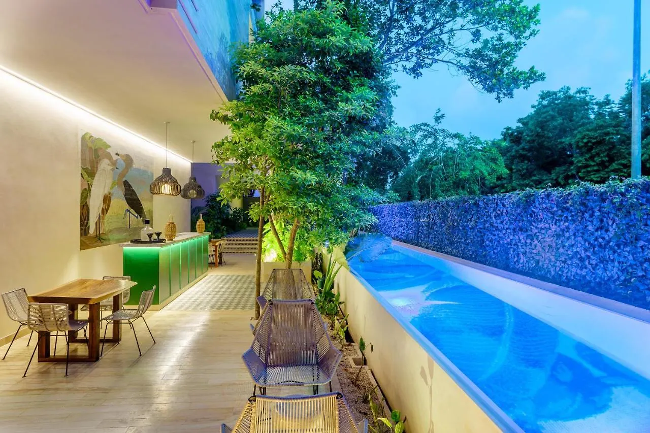 305 Luxury Penthouse With Private Pool Apartment Tulum Mexico