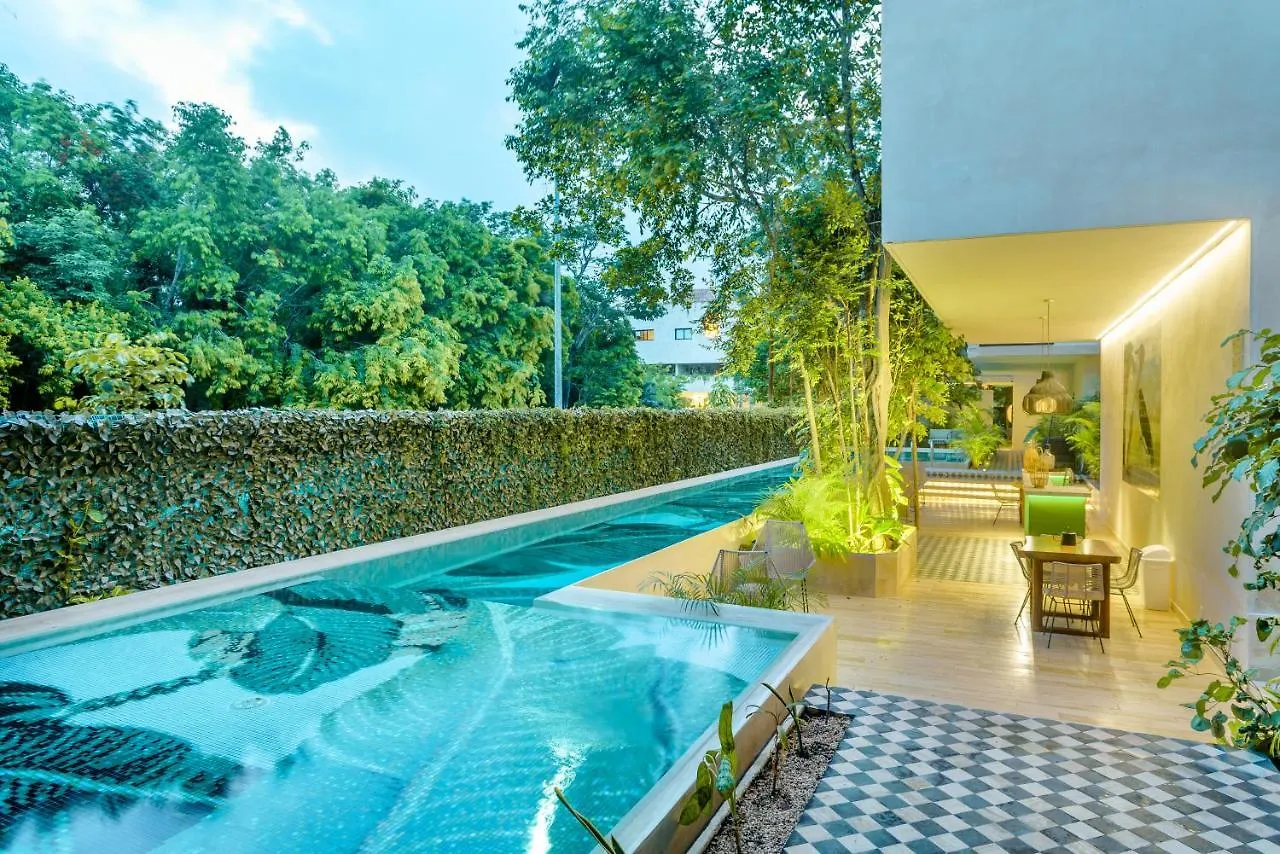 305 Luxury Penthouse With Private Pool Apartment Tulum
