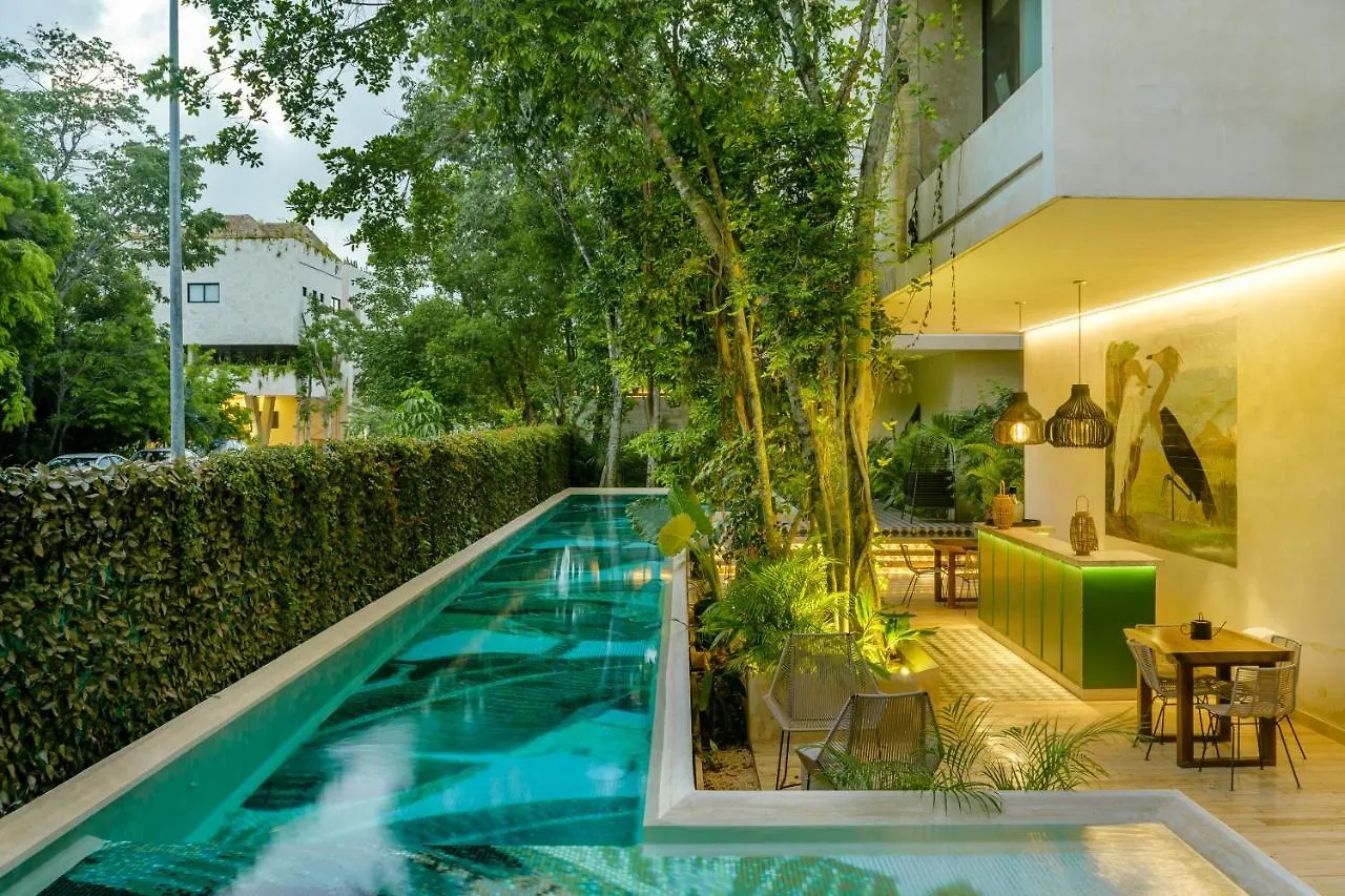 305 Luxury Penthouse With Private Pool Apartment Tulum