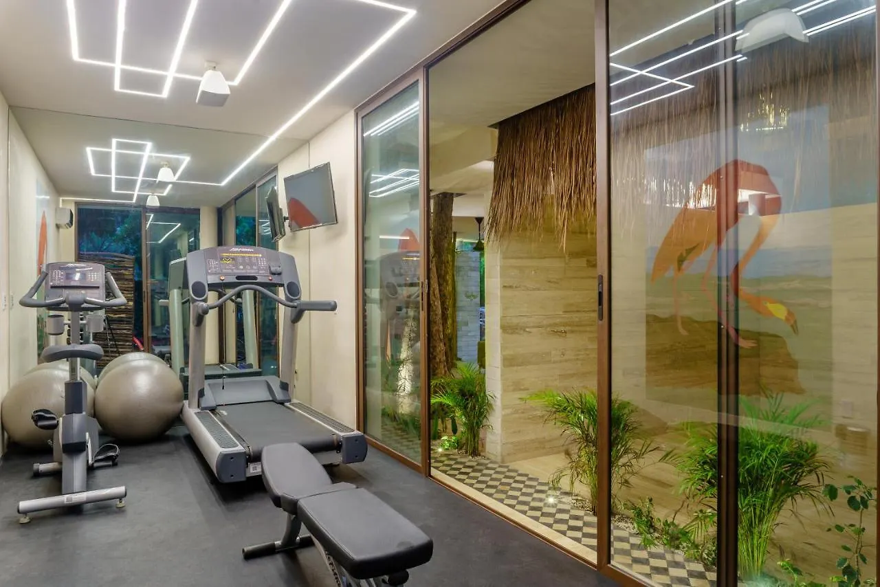 305 Luxury Penthouse With Private Pool Apartment Tulum